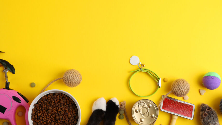 Kinea chega a 10% da Petz Cobasi