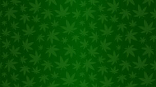 Não liberou geral: Governo Trump aprova maconha, mas só para uso medicinal