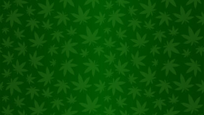 Não liberou geral: Governo Trump aprova maconha, mas só para uso medicinal