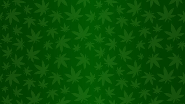 Não liberou geral: Governo Trump aprova maconha, mas só para uso medicinal