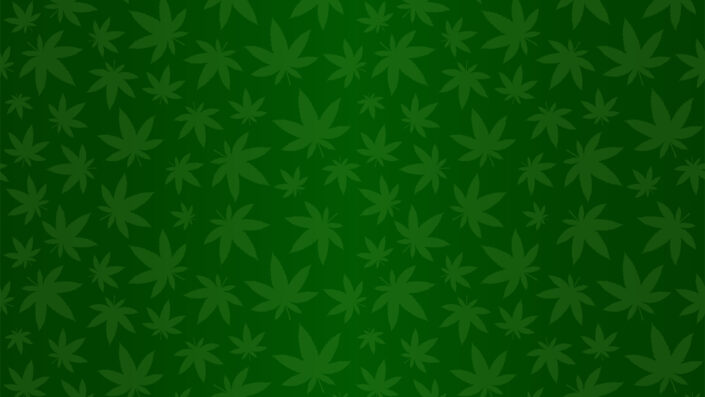 Não liberou geral: Governo Trump aprova maconha, mas só para uso medicinal