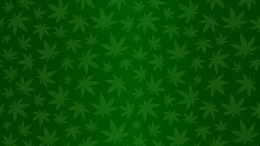 Não liberou geral: Governo Trump aprova maconha, mas só para uso medicinal