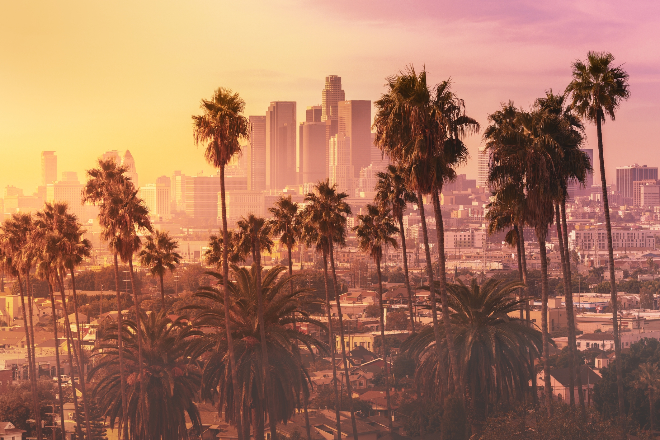 A estrela de reality que quer ser prefeito de Los Angeles 