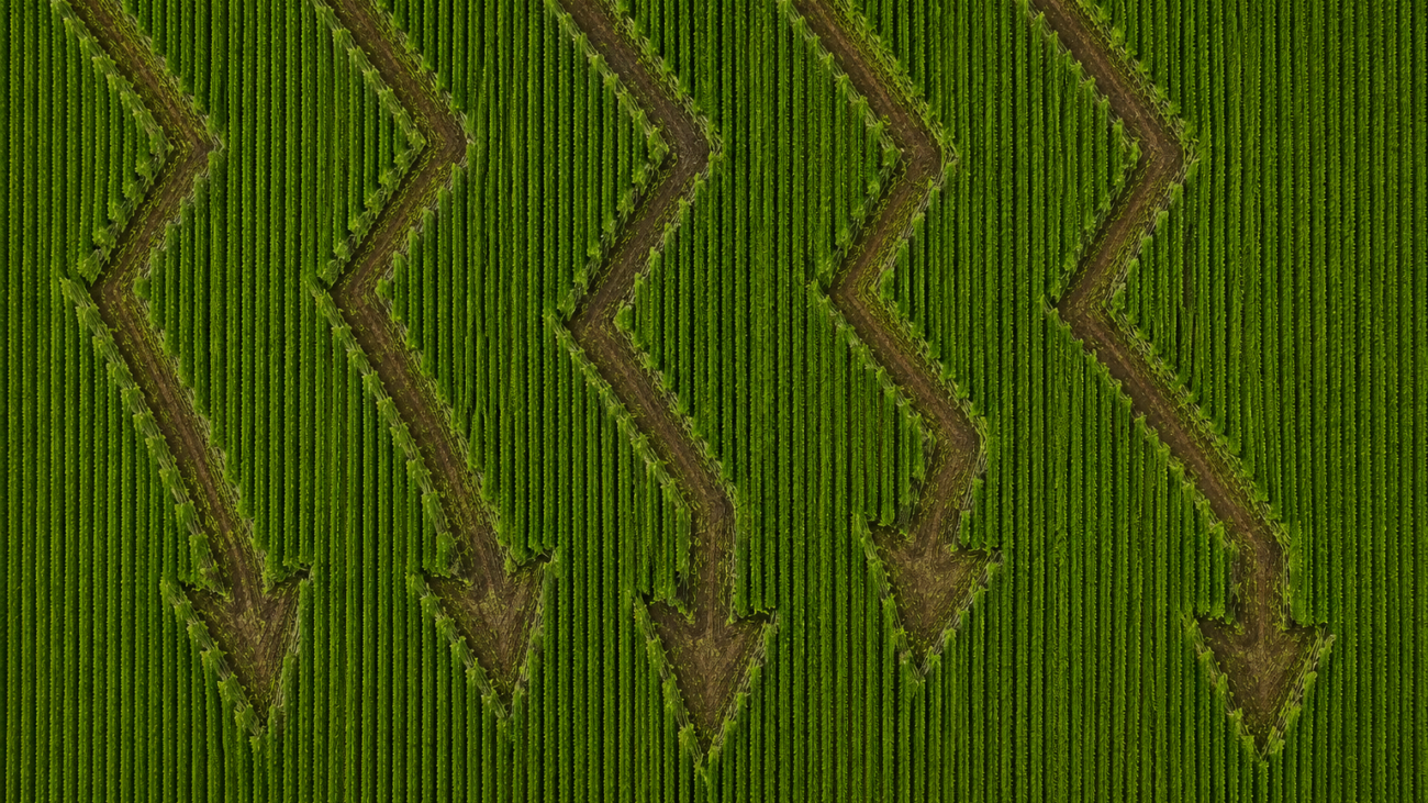 O preço da terra está barato demais pra ignorar, dizem estes gestores