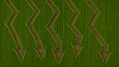 O preço da terra está barato demais pra ignorar, dizem estes gestores