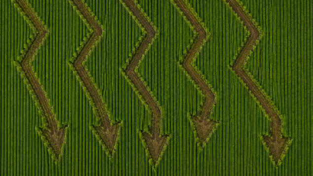 O preço da terra está barato demais pra ignorar, dizem estes gestores