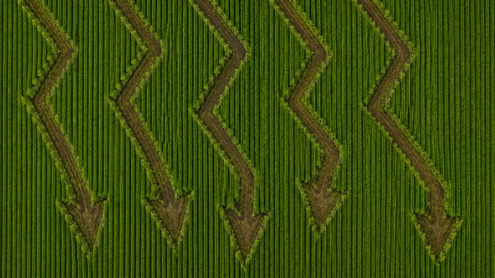 O preço da terra está barato demais pra ignorar, dizem estes gestores