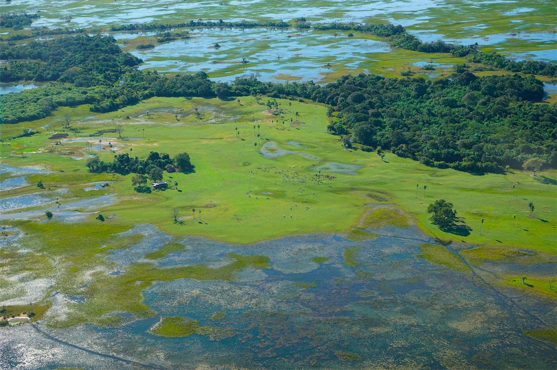 No Pantanal, está faltando água (e uma lei) 2 10870 88236e20 3097 0154 9cb7 51e051da857c