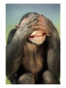 Santander: Verdades que não cabem num extrato 1 monkey covering eyes