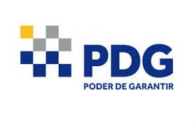 PDG desmorona e testa imagem da Vinci 1 pdg-logo