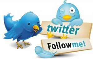 No Twitter, uma postura para ser seguida 1 twitter-followers