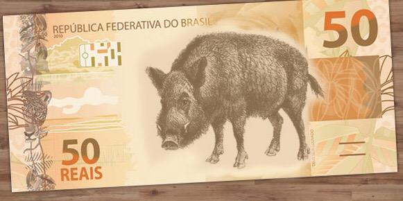 Frases da semana 1 javali-sensacionalista